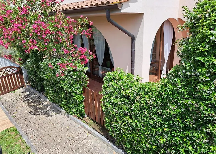 Casa Eucalipto - Marina Di Campo, Elba Ferienhaus Marina di Campo