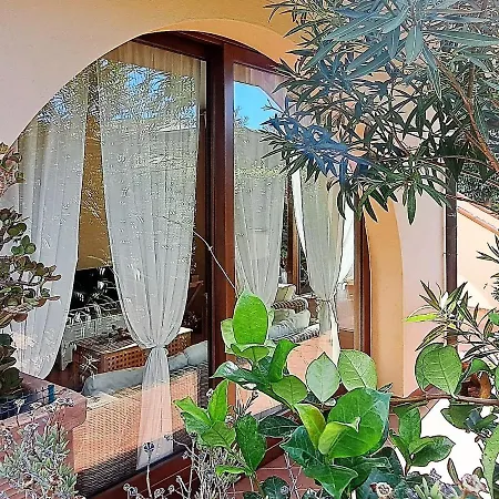 Casa Eucalipto - Marina Di Campo, Elba 펜션 *
